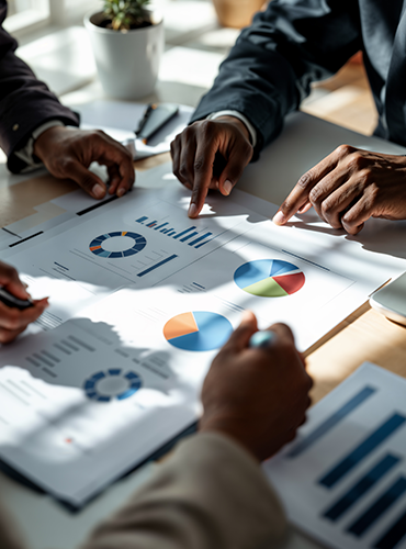 business development & strategic advisory
