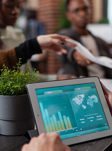 market insight & consulting
